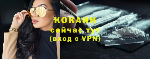 мескалин Заводоуковск