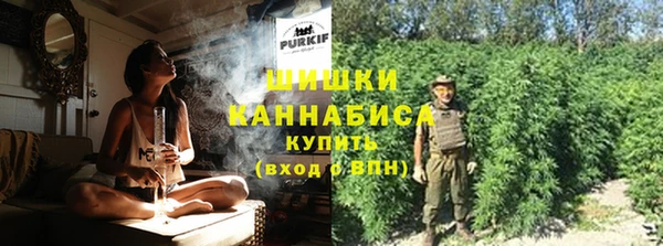 мескалин Заводоуковск