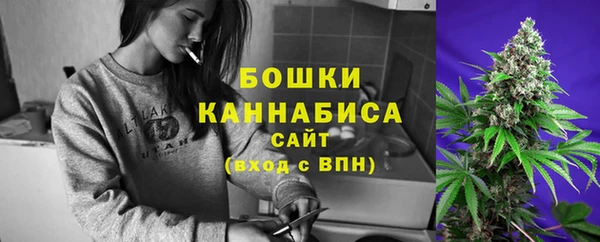 мескалин Заводоуковск